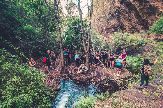 Excursion d'une journée dans la forêt tropicale à Grande Canarie