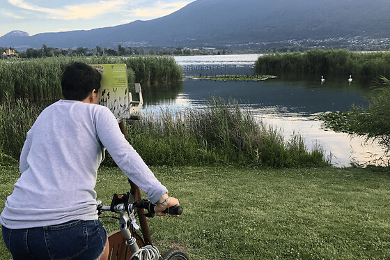 Location de VTT électrique sur le Lac du Bourget (73) - Location - 4 Heures