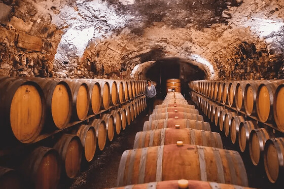 Visite de cave & dégustation de vins bios à Luc-sur-Orbieu (11)