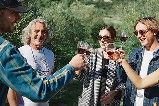 Visite vignobles & dégustation de vin au départ de Béziers (34)