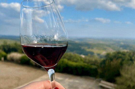 Visite vignobles & dégustation de vin au départ de Béziers (34)
