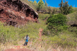 Randonnée en Trottinette électrique à Etang Salé (974)