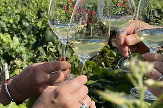 Balade Grands Crus en e-Mehari et dégustation de Chablis (89)