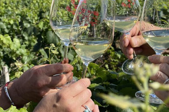 Balade Grands Crus en e-Mehari et dégustation de Chablis (89)