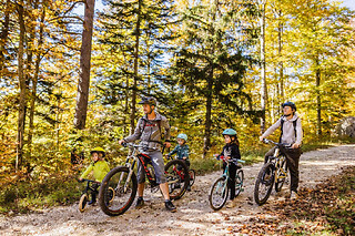 Balade guidée à VTT électriques près de Grenoble (38)