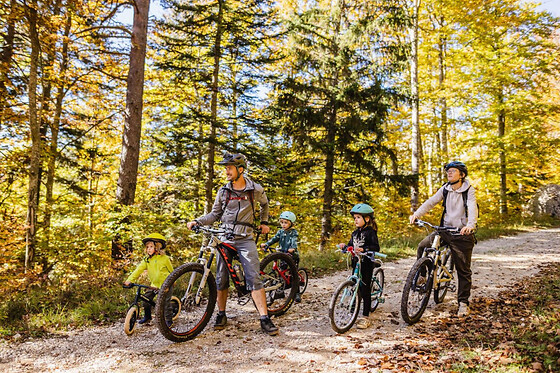 Balade guidée à VTT électriques près de Grenoble (38)