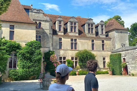 Excursion demi-journée dans le vignoble depuis Bordeaux