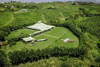 Visite exploitation bananière en petit train en Martinique (97) - Billet Adulte