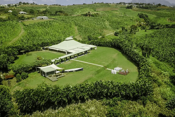 Visite exploitation bananière en petit train en Martinique (97) - Billet Adulte