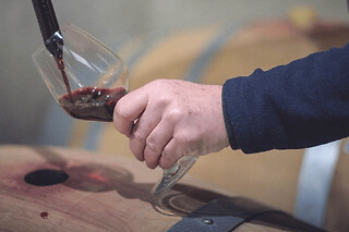 Balade immersive dans les vignes de Jouvente à Illats (33)