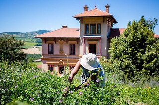Visite des jardins en permaculture près de Lyon (69)