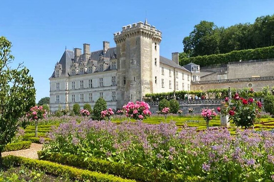 Visite guidée des châteaux d'Azay-le-Rideau et Villandry (37)