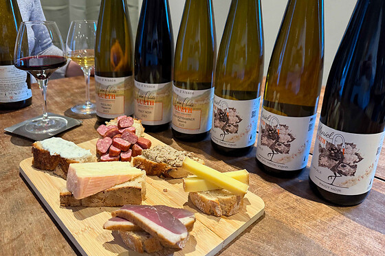Visite de cave & dégustation gourmande de vins bio au féminin