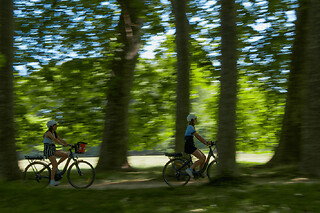 Visite du Parc de la Tête d'Or à Vélo électrique à Lyon  (69)
