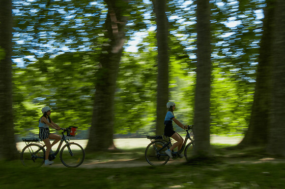 Visite du Parc de la Tête d'Or à Vélo électrique à Lyon  (69)