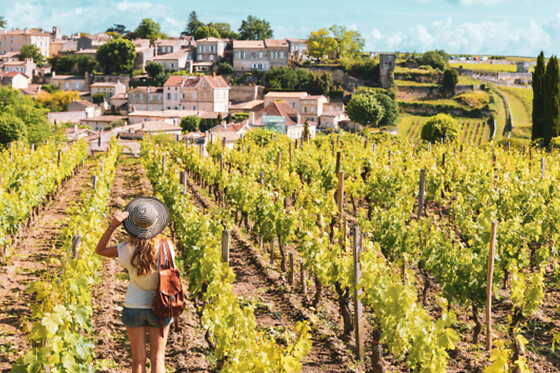 Excursion demi-journée Grands Vins de Saint-Emilion et Pomerol