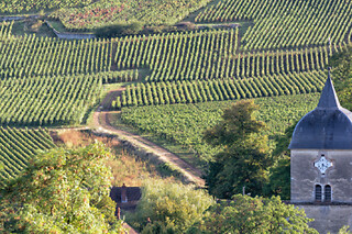 Excursion demi-journée Grands Vins de Saint-Emilion et Pomerol
