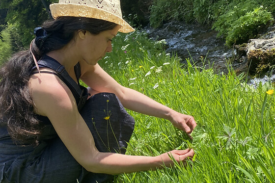 Balade nature & découverte des plantes sauvages à Grandfontaine