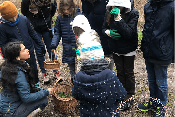 Balade nature & découverte des plantes sauvages à Grandfontaine
