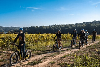 Randonnée nature en trottinette électrique à Gruissan (11)