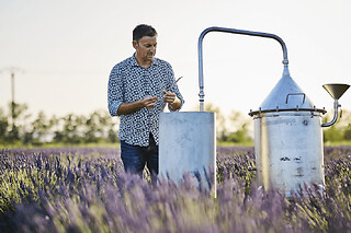 Visite champ de lavandes et distillerie à Bellegarde (30)