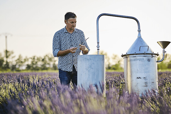Visite champ de lavandes et distillerie à Bellegarde (30)