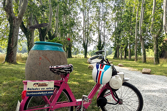 Balade œnologique en Solex à Argelès-sur-Mer (66)