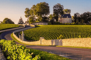 Excursion demi-journée dans le Médoc depuis Bordeaux (33)