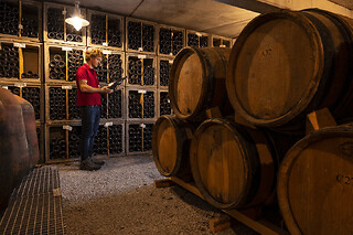 Visite & dégustation de vins au domaine de la Selve (07)