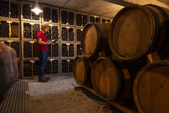 Visite & dégustation de vins au domaine de la Selve (07)
