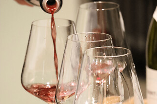 Visite & dégustation de vins en Côte de Beaune (21)