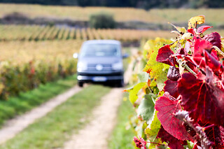 Visite & dégustation de vins en Côte de Beaune (21)