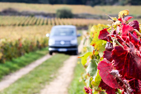 Visite & dégustation de vins en Côte de Beaune (21)