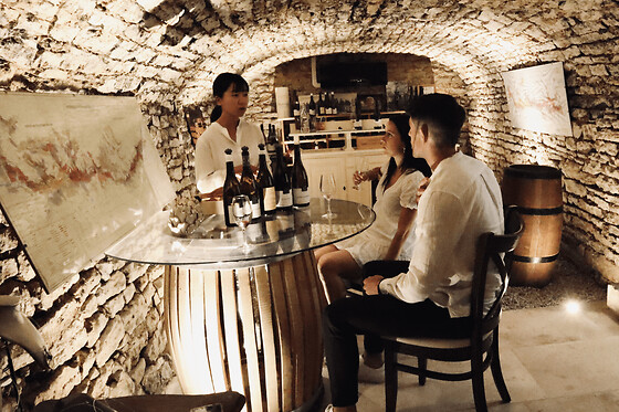 Dégustation de vins  domaines et chateau en Côte de Beaune