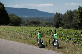 Balade viticole en trottinette au domaine de Marie (84)