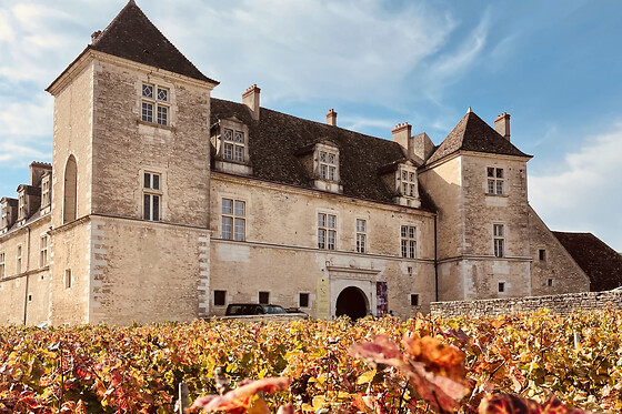 Dégustation de vins en Côte de Nuit (21)