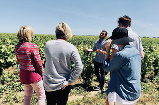 Dégustation de vins en Côte de Nuit (21)