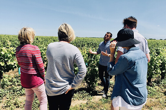 Dégustation de vins en Côte de Nuit (21)