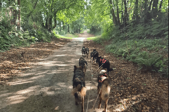 Baptême Kart à chiens à Soudat (24)