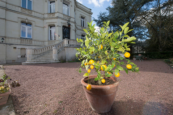 Domaine de l'Oie Rouge - photo 9
