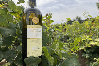 Dégustation de vins au Château des Marais près de Nantes (44)