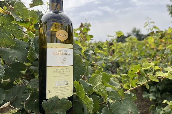 Dégustation de vins au Château des Marais près de Nantes (44)