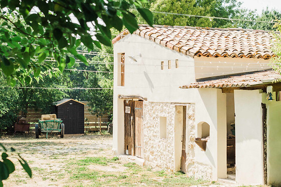 Visite champ de lavande Terre Ugo à Aix-en-Provence (13)