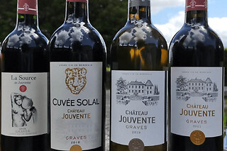 Dégustation des vins de Graves de Jouvente à Illats (33)