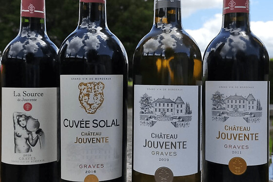 Dégustation des vins de Graves de Jouvente à Illats (33)