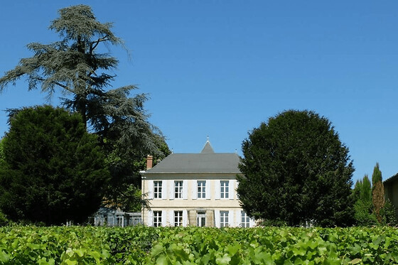 Dégustation des vins de Graves de Jouvente à Illats (33)
