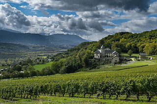 Wine Tour Privatif autour des Vins de Savoie (73)