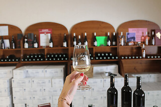 Wine Tour Privatif autour des Vins de Savoie (73)