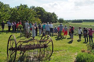Visite découverte de la lavande proche de Montélimar (26)