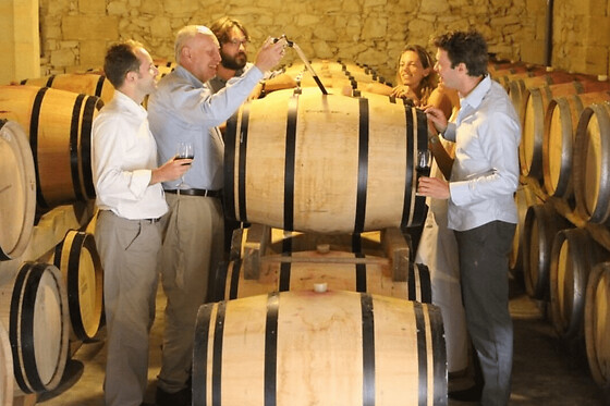 Visite guidée découverte des vignobles au pays de Cézanne (13) - Visite guidée matin